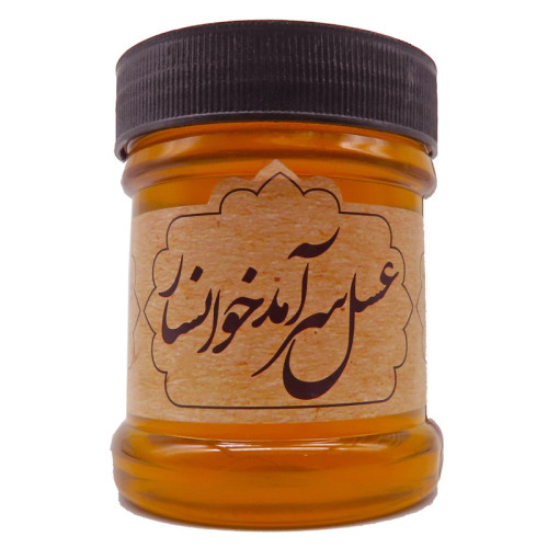 مربا توت فرنگی بیژن - 290 گرم-1